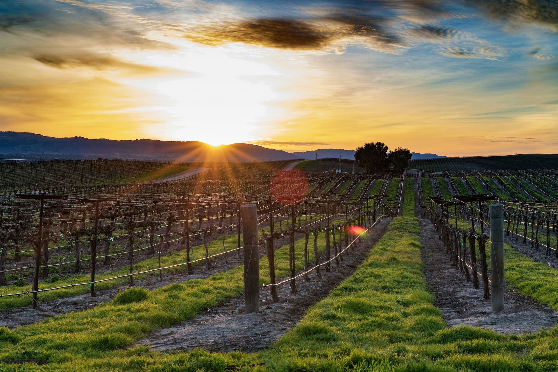 Brentwood, California